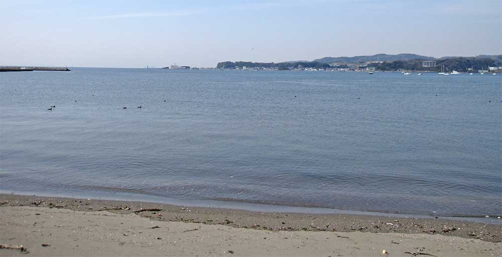 横須賀市林4丁目　中古戸建