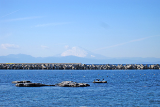 三浦市海外町　売地