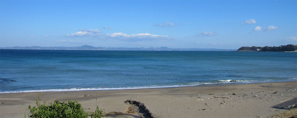 三浦市南下浦町金田　売地