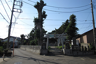 三浦市南下浦町金田　売地