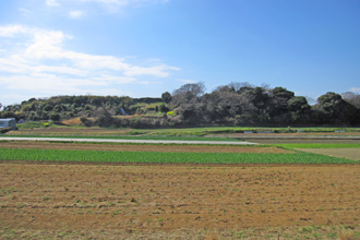 三浦市初声町高円坊　売地