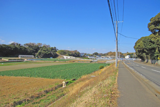 三浦市初声町高円坊　売地