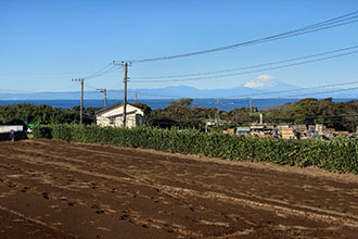 三浦市初声町三戸　売地