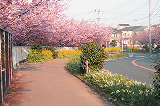 三浦市初声町下宮田　売地