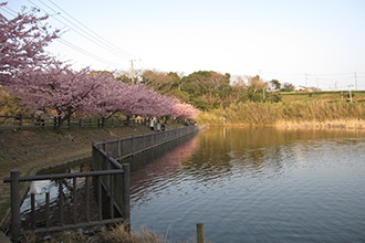 三浦市初声町下宮田　売地