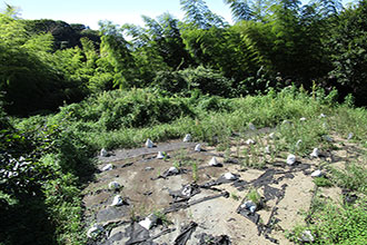 三浦郡葉山町下山口　売地
