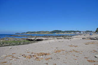 三浦市初声町和田　売地