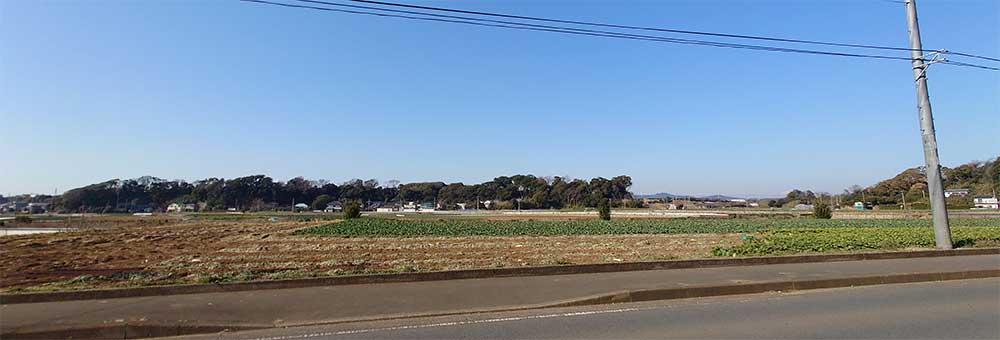 三浦市初声町和田　売地