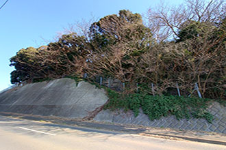 三浦市初声町和田　売地