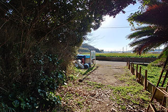 三浦市初声町和田　売地